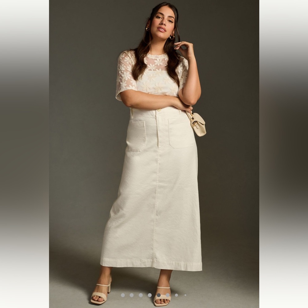 Anthropologie Colette maxi skirt